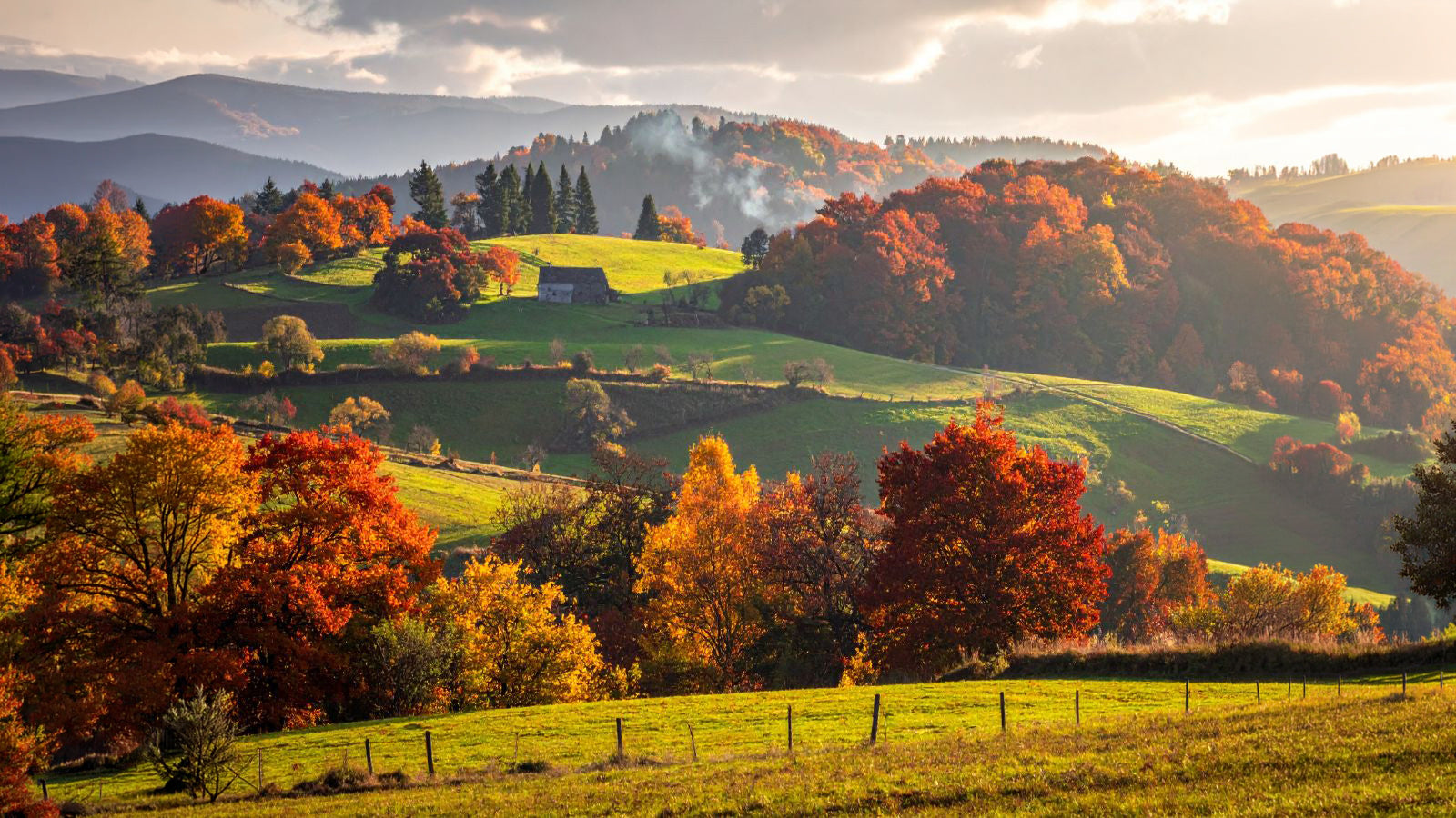 Fall Mix Guide: Cozy up to the scents of our favorite season