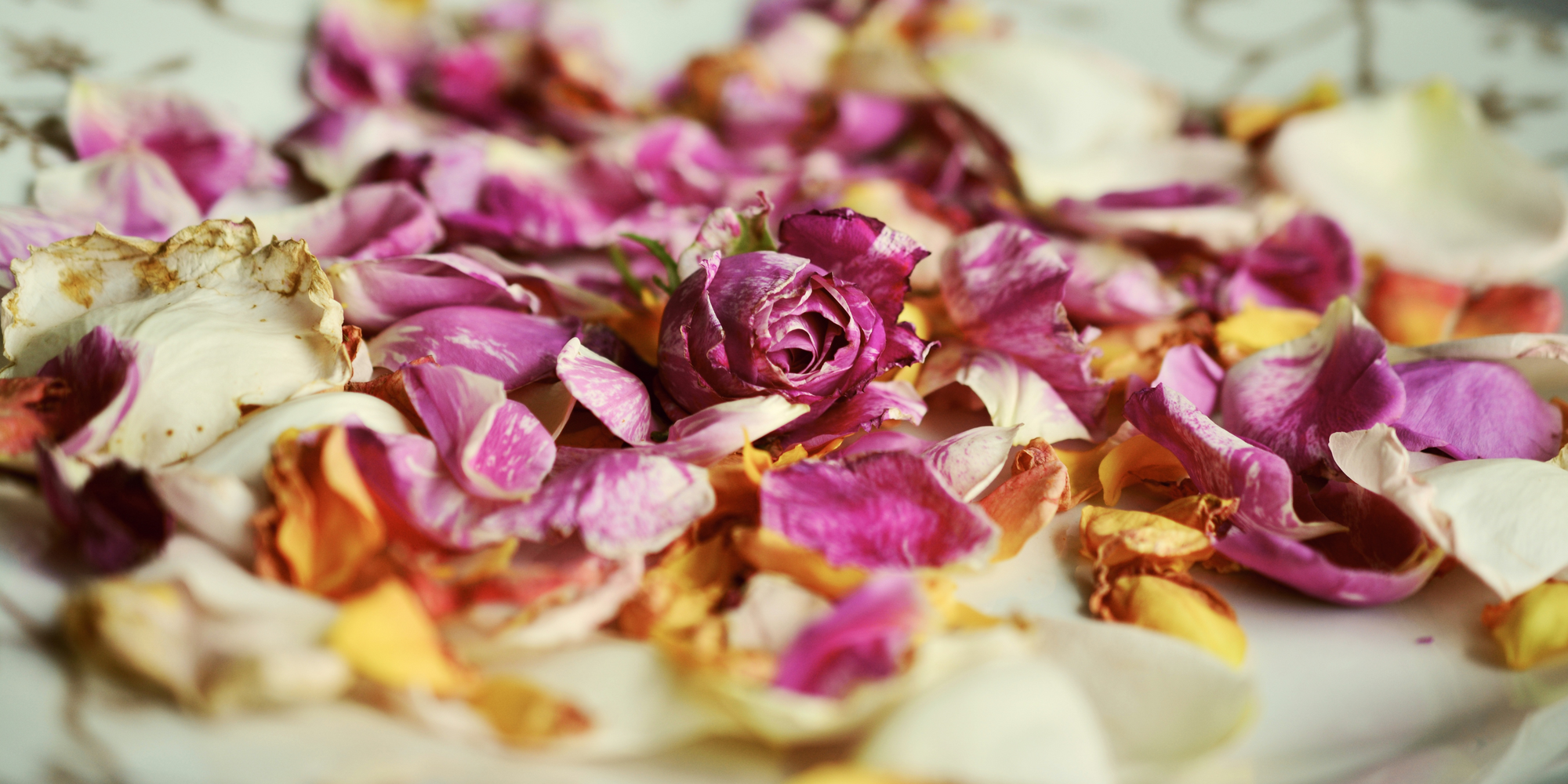 From Ancient Aromas to Modern Marvels: A Happy History of Home Fragrance