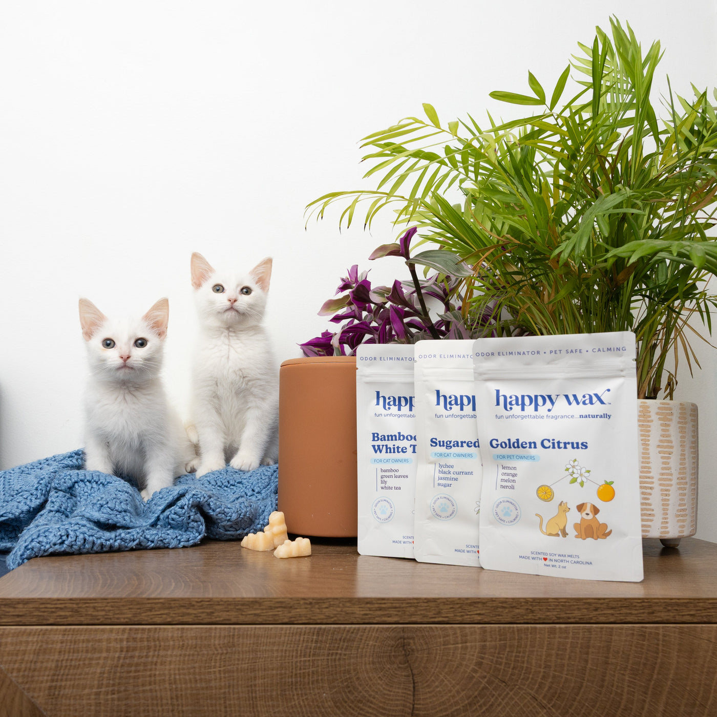 Cat Owner Collection 3-Pack: Odor Eliminator & Calming