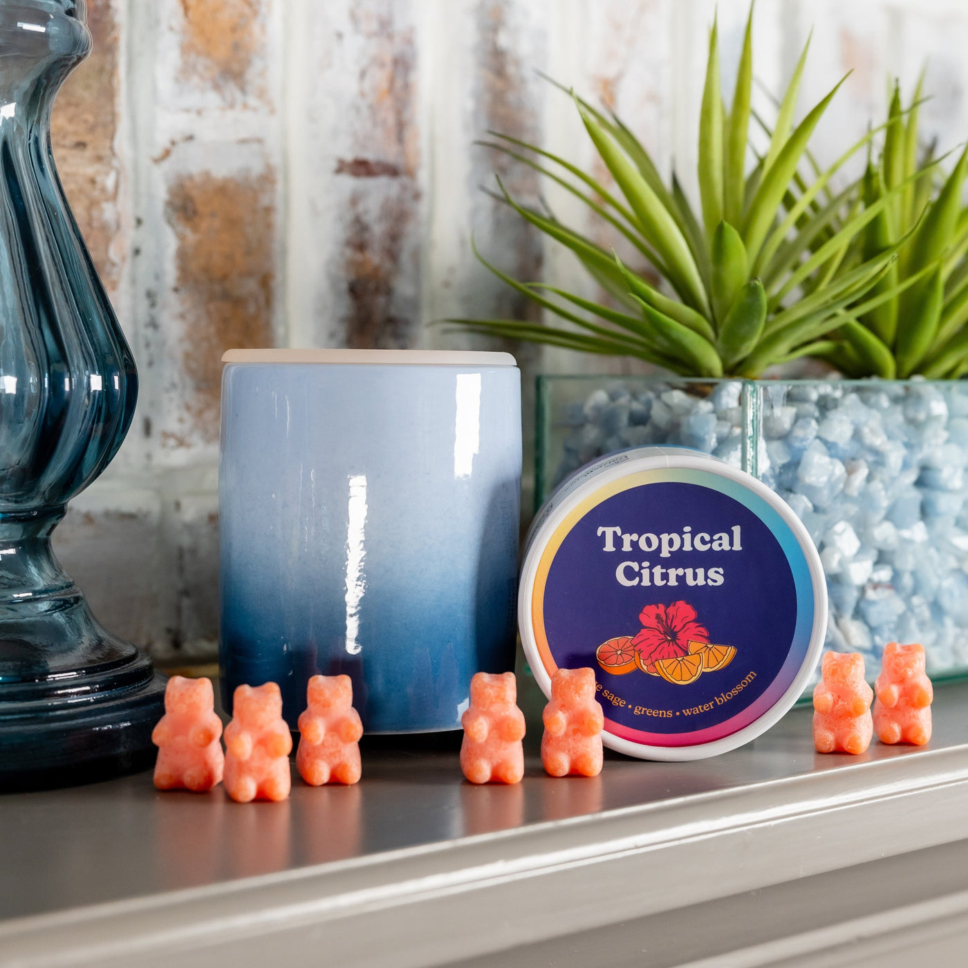 Blue ombre ceramic wax warmer with orange bear-shaped wax melts and "Tropical Citrus" labeled tin on shelf display.