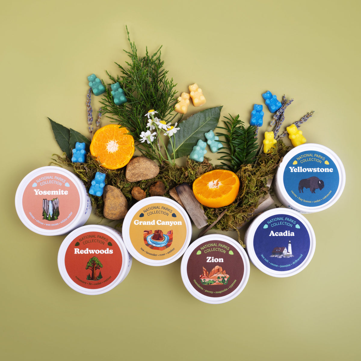 Six labeled candles in white containers featuring Yosemite, Redwoods, Grand Canyon, Zion, Yellowstone, and Acadia, surrounded