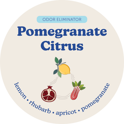 Pomegranate Citrus Odor Eliminating Wax Melts